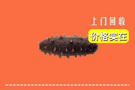 忻州代县回收海参