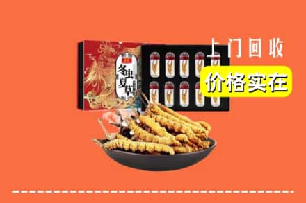 忻州代县回收虫草